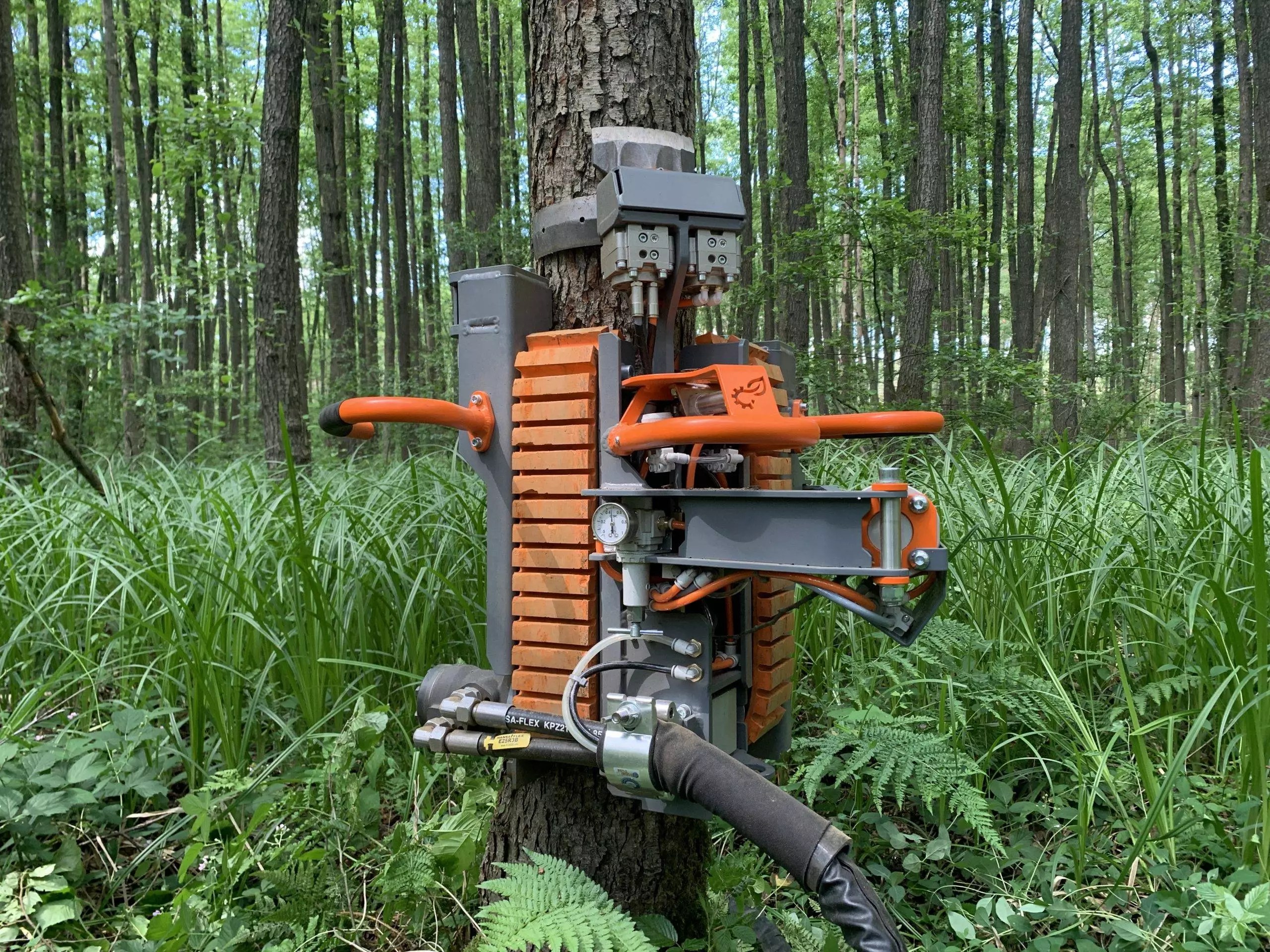 PATAS in action — click to play